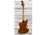 fender-troy-v-leeuwen-jazzmaster-mn_637ce33ef40f5.jpg