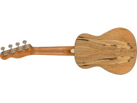 fender-zuma-concert-uke-spalted-maple_62b1f1095e13a.jpg