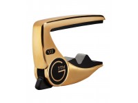 g7th-performance-iii-acoustic-gd_5ed7b9feae724.jpg