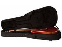 gator-gl-dreadnought_590c3f7610ef1.jpg