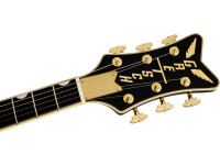 gretsch-g6134tg-ltd-paisley-penguin-gd_68b6c2854da4f.jpg