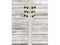 Gretsch G6136TG-OP Limited Edition Orville Peck Falcon 
