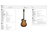 Gretsch Limited Edition Electromatic Black Limba Jet EB Sunburst