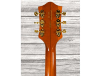gretsch-limited-edition-g6120tgqm-56-qlt-chet-ruo_66793cf5690c3.jpg