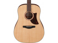 ibanez-aad100_60cc7a6bb1853.jpg