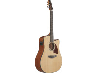 Ibanez AAD51CENT Advanced Natural