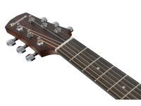 ibanez-aam70ce-tbn_6981c3054e00b.jpg