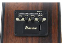 ibanez-aam70ce-tbn_6981c30a26116.jpg