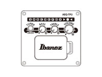 ibanez-ac390ce-nt_6980e36f132e4.jpg
