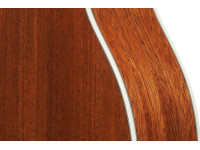 ibanez-ac390ce-nt_6980e3760beb6.jpg