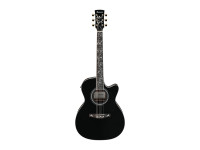 Ibanez AC391RCE-BKH