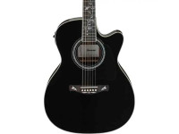 Ibanez AC391RCE-BKH