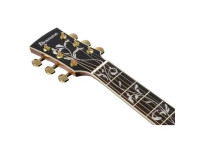 Ibanez AC391RCE-BKH