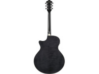Ibanez AE170TBK Transparent Black
