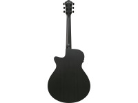 Ibanez AEG621BOT Black Out