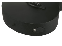 ibanez-aeg621bot-black-out_6978e692db7c3.jpg