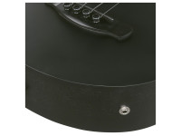 ibanez-aegb420-black-out_6a5a3303abe1c.jpg