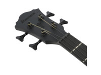 ibanez-aegb420-black-out_6a5a330578d1e.jpg
