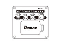 ibanez-aegb420-black-out_6a5a330c834dd.jpg