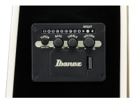 ibanez-alt50fa-tvt_6981c9454d7d9.jpg
