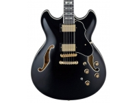 ibanez-as153b-bk_5dc554d63546d.jpg