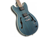 ibanez-as53-tbf_5ffc7302667b5.jpg