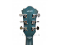 ibanez-as53-tbf_5ffc73033e2a9.jpg