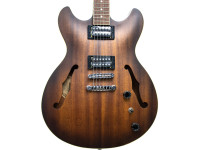 ibanez-as53-tf_63444c5cb1dad.jpg