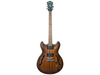 ibanez-as53-tf_63444c5ec7dd5.jpg