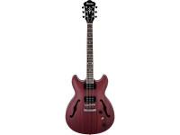 ibanez-as53-trf_604a06f44c8c5.jpg