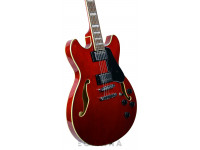 ibanez-as73-tcd_6139d9004ba7f.jpg