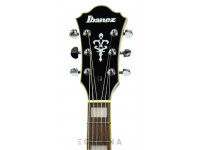 ibanez-as73-tcd_6139d901606ba.jpg