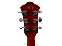 ibanez-as73-tcd_6139d902730df.jpg
