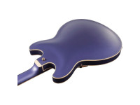 ibanez-as73g-mpf_640a1cc12ec02.jpg