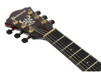 ibanez-ash300-tbc_6981bd9cc703a.jpg