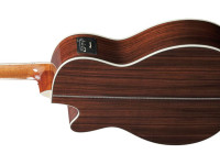 Ibanez AW391RCE-BKH