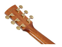 Ibanez AW391RCE-BKH