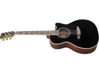 Ibanez AW391RCE-BKH