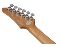 ibanez-ber10-bernth-signature-bk_69f1e0aabab23.jpg