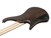 ibanez-ehb600-wnf-walnut-flat_691dfa18def7b.jpg