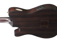 Ibanez FRH20FMN-DGL