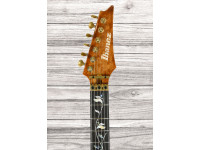 ibanez-iv1rg_69fa12936de70.jpg