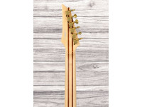 ibanez-iv2rg-visions-rg_6a56101c54263.jpg