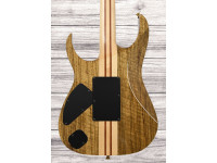 ibanez-iv2rg-visions-rg_6a56101edbf95.jpg