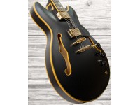 ibanez-jsm-20-black-low-gloss_5f69b3795da6b.jpg