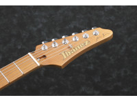 ibanez-mmn1-tab-martin-miller_6a69c51d93b7f.jpg