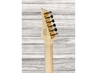 ibanez-rga622xh-bk_6418326bed86f.jpg
