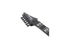 Ibanez  RGT1221PB-DTF