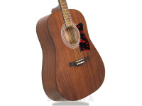 Ibanez V54NJP-OPN Set
