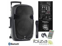 ibiza-hybrid10vhf-bt_5951358ea88fc.jpg
